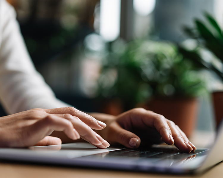 Palvelut Asiantuntijapalvelut